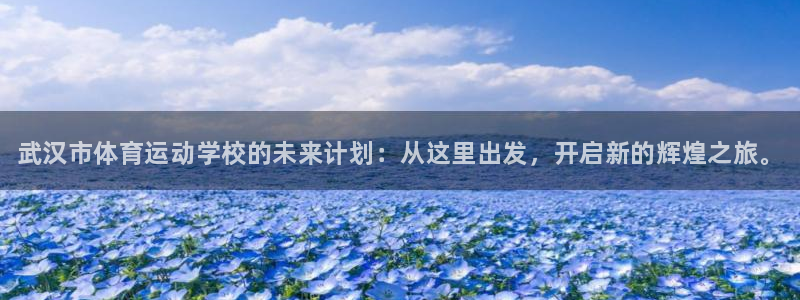 凯发官方正版app神州：武汉市体育运动学校的未来计划