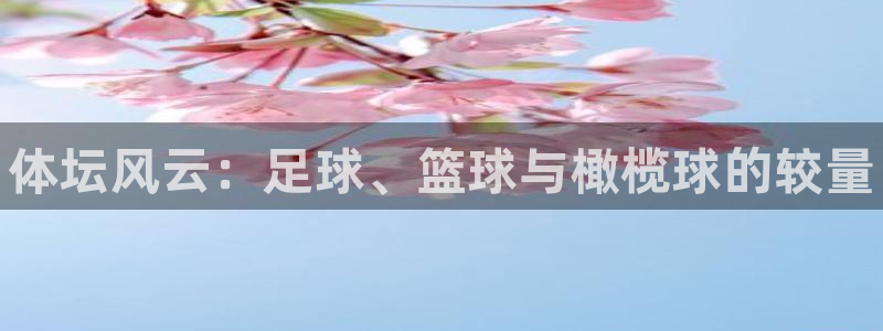 凯发官网下载联系电话：体坛风云：足球、篮球与橄榄球的