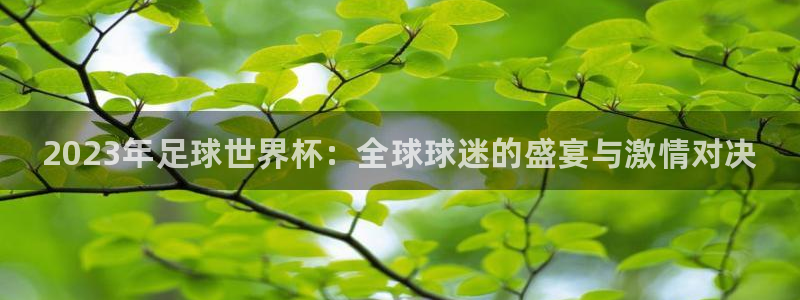 凯发官网下载平台是正规平台吗：2023年足球世界杯：全球球迷