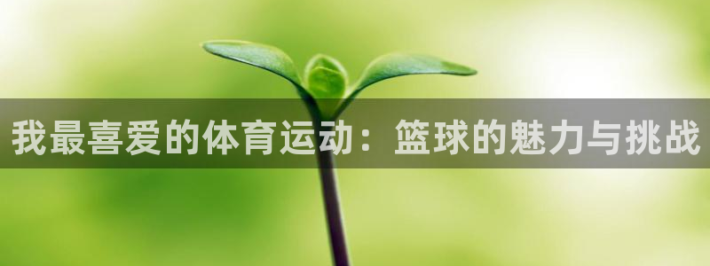 凯发官方正版app开户：我最喜爱的体育运动：篮球的魅力与挑战