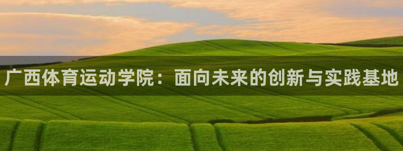 凯发官方正版app集团：广西体育运动学院：面向未来的创新与实