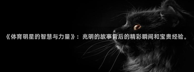 凯发官方正版app集团官网网址：《体育明星的智慧与力量》：兆