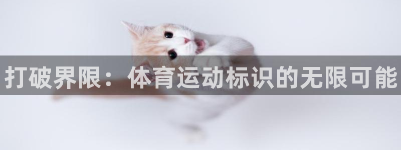 凯发官网下载平台注册要钱吗是真的吗：打破界限：体育运