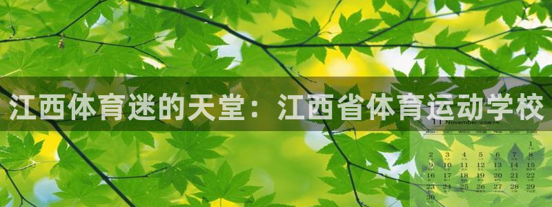 凯发官网下载注册：江西体育迷的天堂：江西省体育运动学校