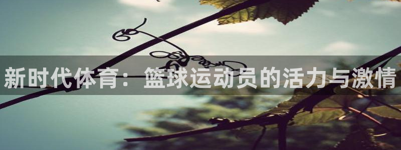 凯发官网下载平台是正规平台吗知乎：新时代体育：篮球运动员的活
