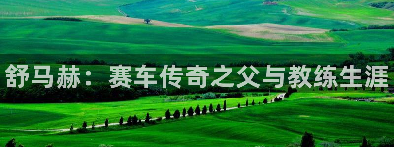凯发官方正版app娱乐首页官网下载：舒马赫：赛车传奇