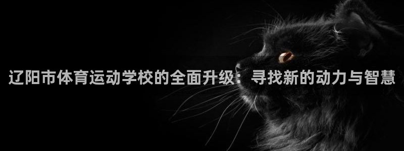 德国凯发官方正版app集团：辽阳市体育运动学校的全面升级：寻