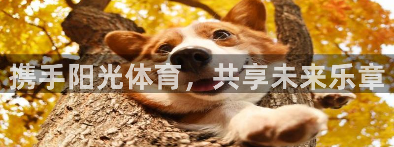 注册凯发官方正版app：携手阳光体育，共享未来乐章