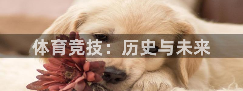 凯发官网下载招商电话是多少：体育竞技：历史与未来
