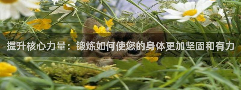 凯发官方正版app娱乐代理怎么样：提升核心力量：锻炼如何使您