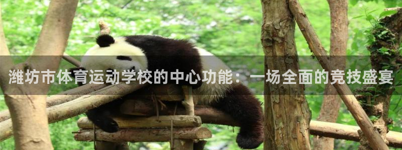 凯发官方正版app官网