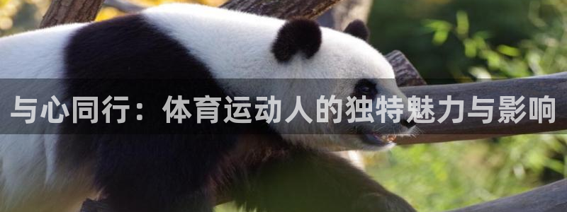 凯发官网下载开户