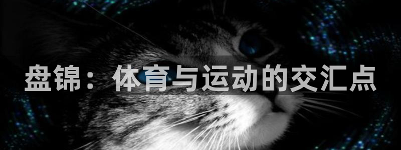 凯发官网下载官方客服电话：盘锦：体育与运动的交汇点