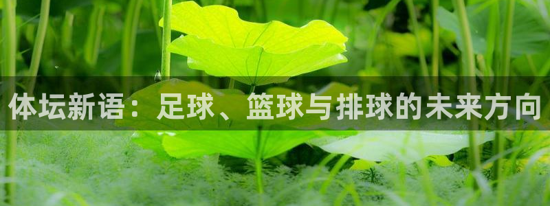 凯发官方正版app集团E.ON