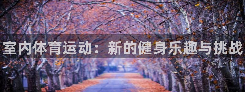 凯发官方正版app娱乐首页官网下载：室内体育运动：新的健身乐