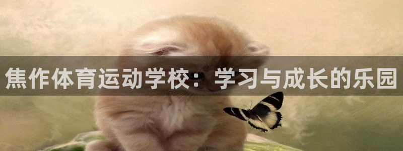 凯发官方正版app娱乐网站：焦作体育运动学校：学习与成长的乐