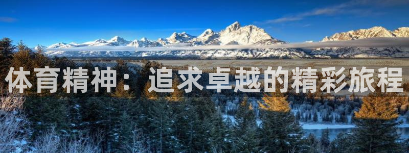 凯发官网下载软件：体育精神：追求卓越的精彩旅程