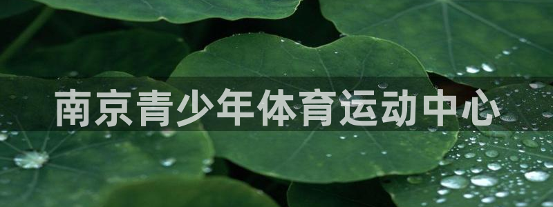 凯发官网下载平台注册流程视频：南京青少年体育运动中心