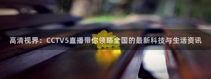 松鼠体育：高清视界：CCTV5直播带你领略全国的最新科技与生活资讯