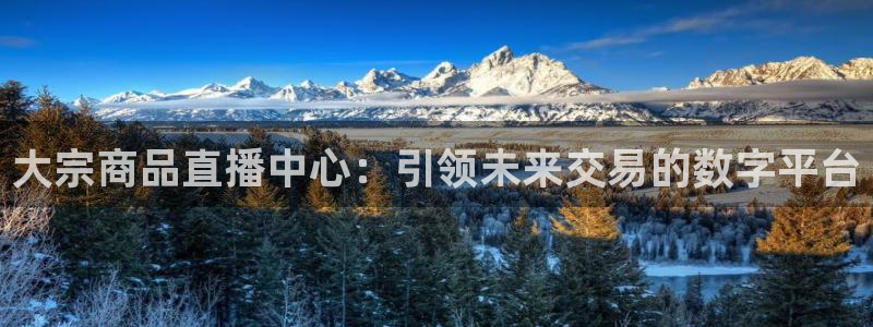 松鼠直播nba：大宗商品直播中心：引领未来交易的数字平台
