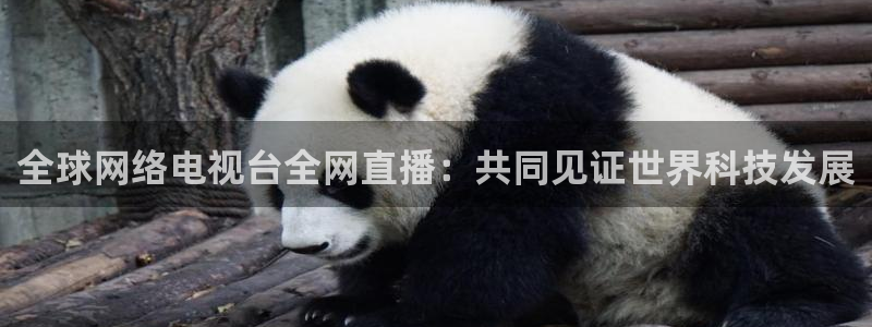 松鼠体育在线直播视频：全球网络电视台全网直播：共同见证世界科技发展