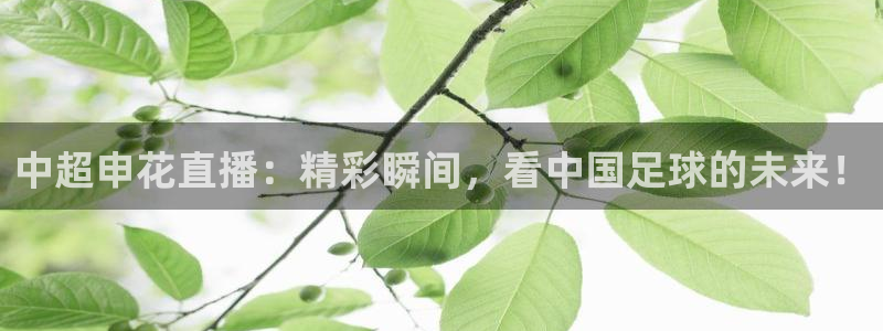 松鼠直播：中超申花直播：精彩瞬间，看中国足球的未来！