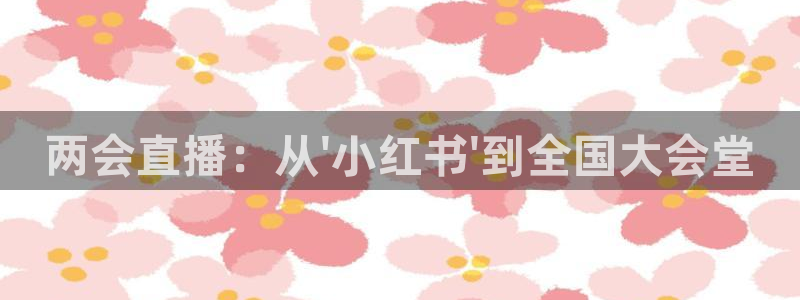 松鼠直播体育免费：两会直播：从\'小红书\'到全国大会堂