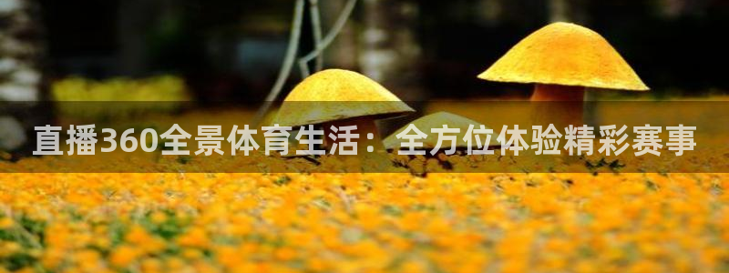 松鼠官方网站：直播360全景体育生活：全方位体验精彩赛事