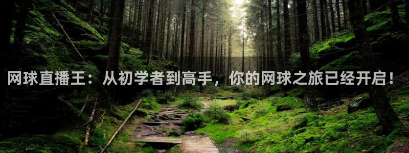 松鼠网官方下载：网球直播王：从初学者到高手，你的网球之旅已经开启！