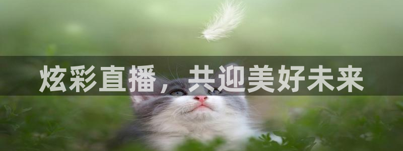 松鼠官方网站：炫彩直播，共迎美好未来