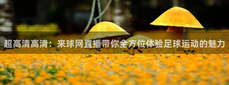 松鼠体育在线直播视频：超高清高清：来球网直播带你全方位体验足球运动的魅力